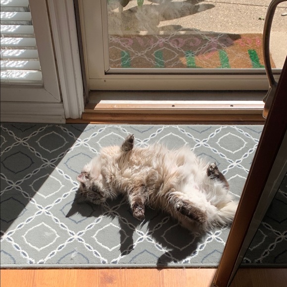 Meet your Posher, Stacy - Picture 6 of 7